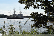 The Tall Ships Races in Antwerpen 2016 - ©Sebastiaan Peeters