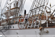 The Tall Ships Races in Antwerpen 2016 - ©Sebastiaan Peeters