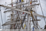 The Tall Ships Races in Antwerpen 2016 - ©Sebastiaan Peeters