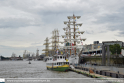 The Tall Ships Races in Antwerpen 2016 - ©Sebastiaan Peeters