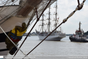 The Tall Ships Races in Antwerpen 2016 - ©Sebastiaan Peeters