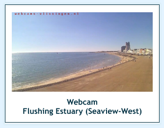 Webcam  Flushing Estuary (Seaview-West)