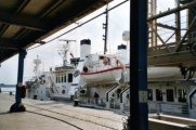 Caledonian Star in Antwerpen - ©John Moussiaux