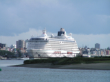 Crystal Serenity in Antwerpen - ©John Moussiaux