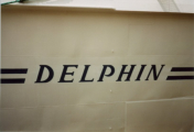 Delphin in Antwerpen - ©John Moussiaux