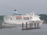 Delphin Voyager in Antwerpen - ©John Moussiaux