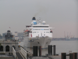 Delphin Voyager in Antwerpen - ©John Moussiaux