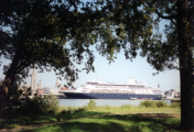 Maasdam in Antwerpen - ©John Moussiaux