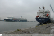 Mein Schiff (1) in Antwerpen - ©Marc Peeters