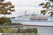 Ocean Majesty in Antwerpen - ©Sebastiaan Peeters