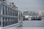 Monarch Empress in Antwerpen - ©Sebastiaan Peeters