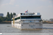 De Zonnebloem in Antwerpen - ©Sebastiaan Peeters