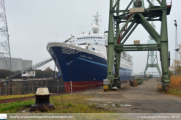 Marco Polo in Antwerpen - ©Sebastiaan Peeters