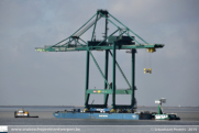 Containerkraan MSC Home Terminal in Antwerpen - ©Sebastiaan Peeters