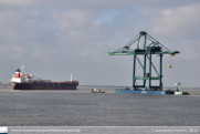 Containerkraan MSC Home Terminal in Antwerpen - ©Sebastiaan Peeters