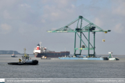 Containerkraan MSC Home Terminal in Antwerpen - ©Sebastiaan Peeters