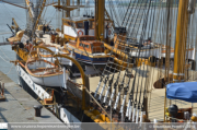 Amerigo Vespucci in Antwerpen - ©Sebastiaan Peeters