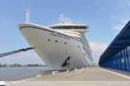 Seabourn Ovation in Antwerpen - ©Marc Peeters