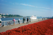 Seabourn Pride in Antwerpen - ©John Moussiaux