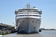 Seabourn Quest in Antwerpen - ©Sebastiaan Peeters