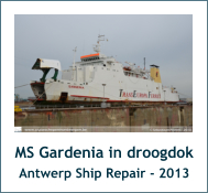 MS Gardenia in droogdok Antwerp Ship Repair - 2013