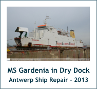 MS Gardenia in Dry Dock Antwerp Ship Repair - 2013