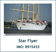 Star Flyer IMO: 8915433