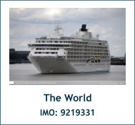 The World IMO: 9219331