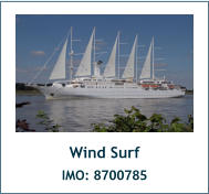 Wind Surf IMO: 8700785