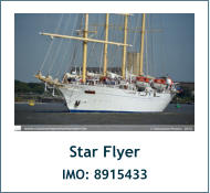 Star Flyer IMO: 8915433