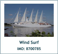Wind Surf IMO: 8700785