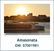 Amasonata ENI: 07001981