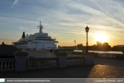 Albatros in Antwerpen - ©Sebastiaan Peeters