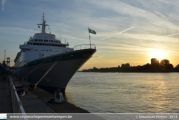 Albatros in Antwerpen - ©Sebastiaan Peeters