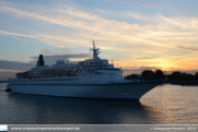 Albatros in Antwerpen - ©Sebastiaan Peeters