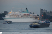 Albatros in Antwerpen - ©Sebastiaan Peeters