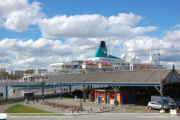 Albatros in Antwerpen - ©Sebastiaan Peeters