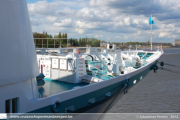 Albatros in Antwerpen - ©Sebastiaan Peeters