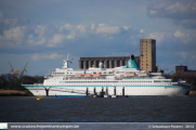 Albatros in Antwerpen - ©Sebastiaan Peeters