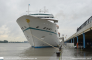 Amadea in Antwerpen - ©Sebastiaan Peeters