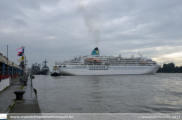 Amadea in Antwerpen - ©Sebastiaan Peeters