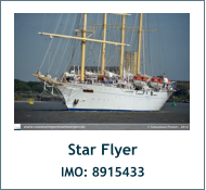 Star Flyer IMO: 8915433