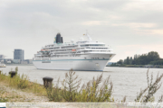 Amadea in Antwerpen - ©Sebastiaan Peeters